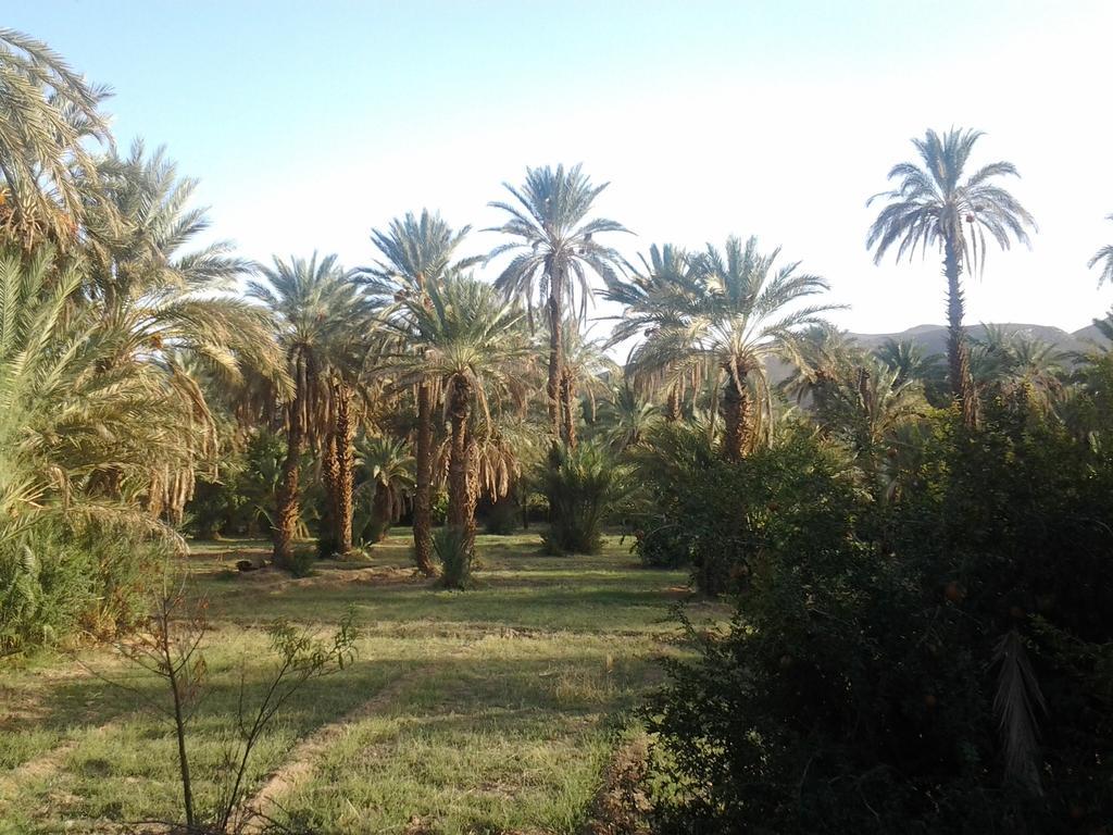 Bed and Breakfast Kasbah Itrane Tamnougalt Exterior foto