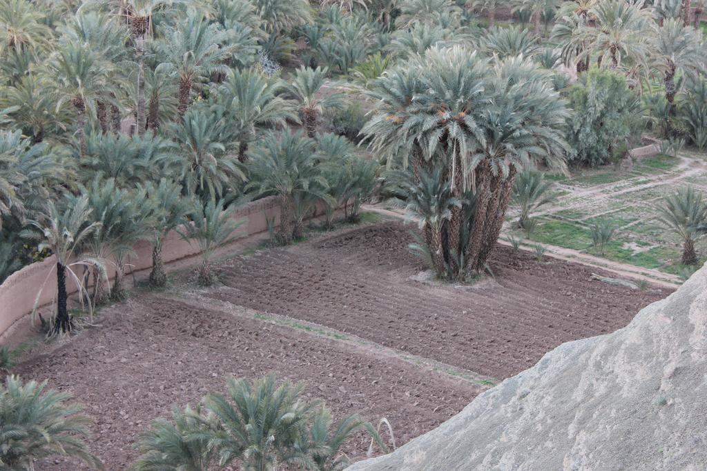Bed and Breakfast Kasbah Itrane Tamnougalt Exterior foto