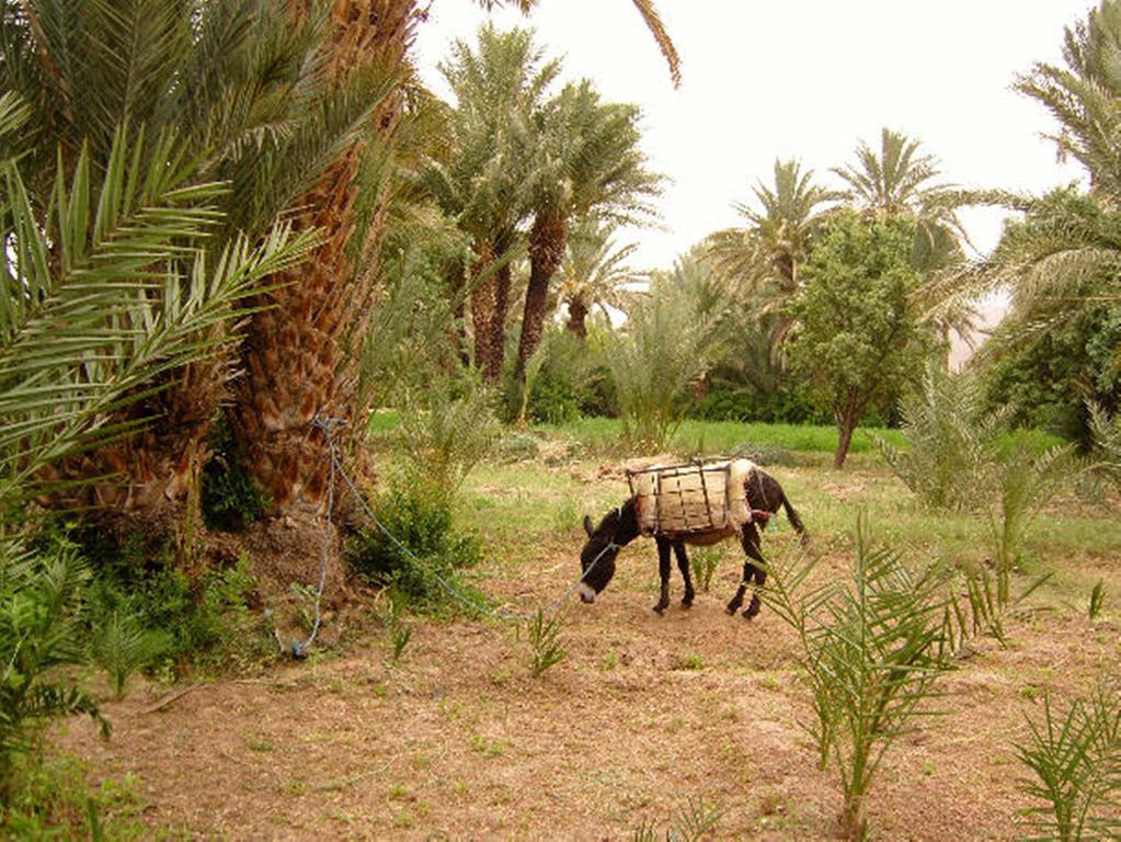 Bed and Breakfast Kasbah Itrane Tamnougalt Exterior foto